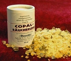 2460 Copal Blumenschule 50ml