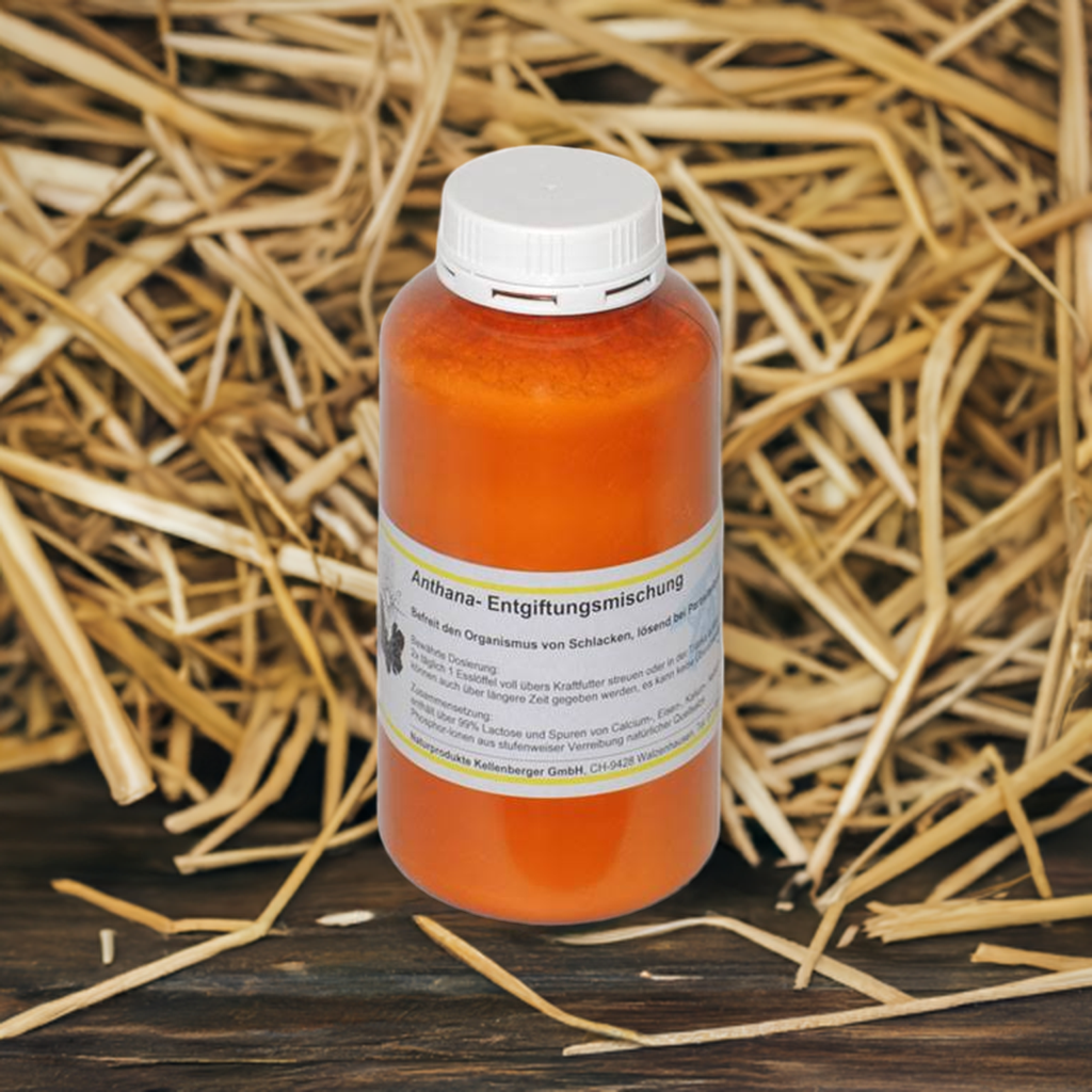 Anthana - Entgiftungsmischung, 700g Anthana - Entgiftungsmischung, 700g
