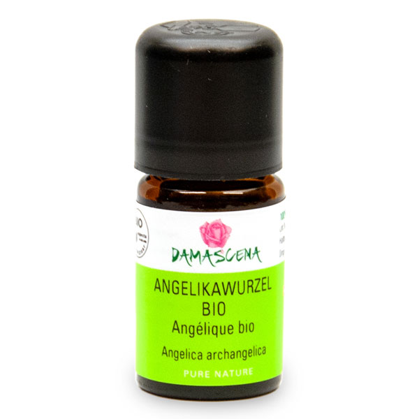 angelikawurzel-bioCEfK6W85WM5Ou Damascena Angelikawurzel