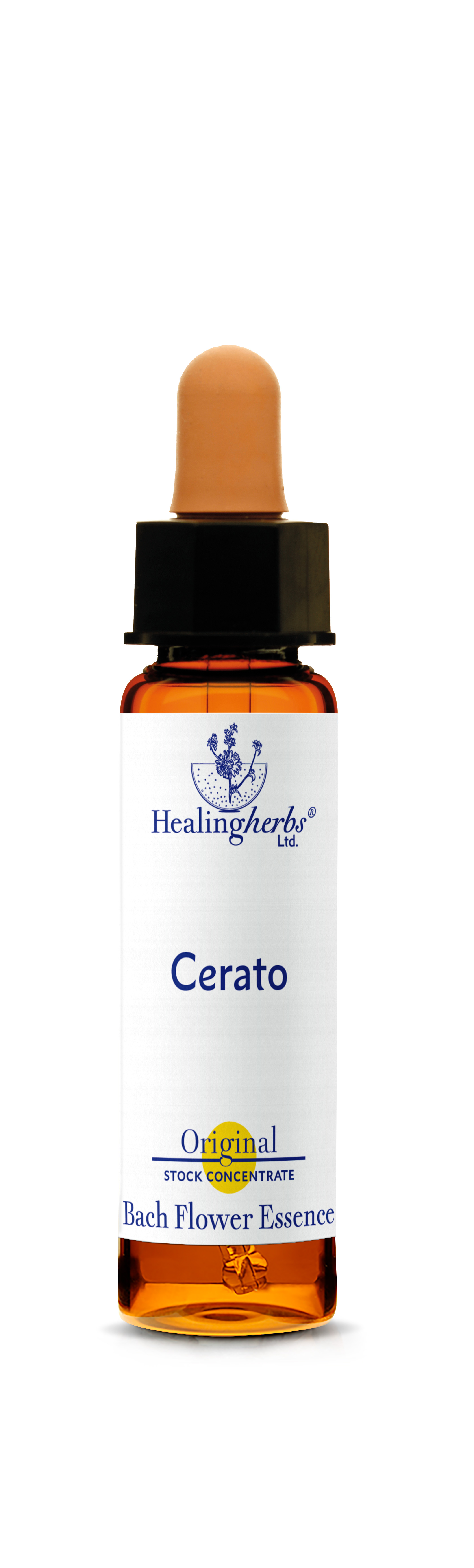 Cerato, 10ml (Bleiwurz)