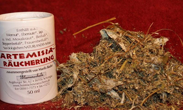 Artemisia Blumenschule 50 ml - Bio