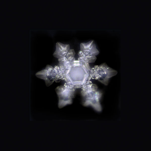 Berg und Kraft Alladin Gemstone Crystal