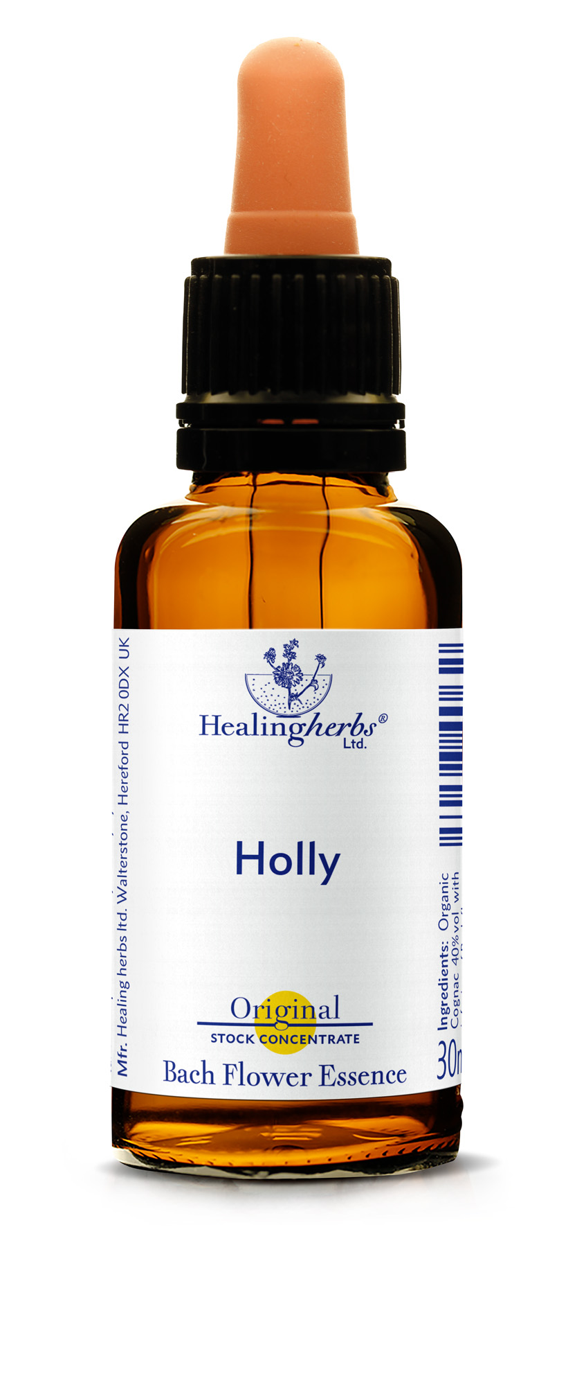 Holly, 30ml (Stechpalme)