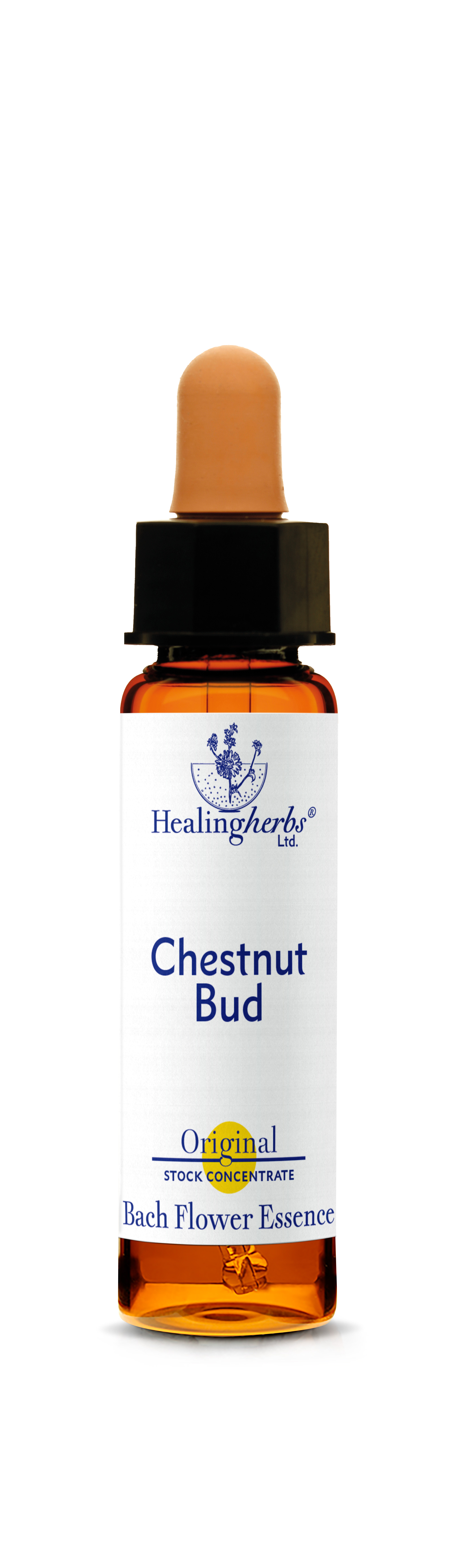Chestnut Bud, 10ml (Kastanienknospe)