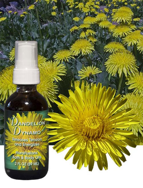 2507_0 Dandelion Dynamo Blütenessenzenöl, 60ml