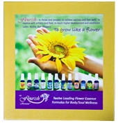 1485 Box mit allen 12 FES flourish formulas